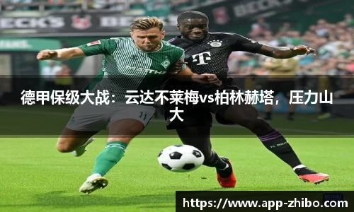 智博体育