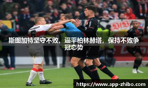智博体育官网