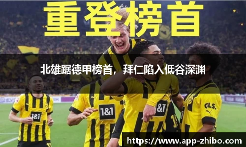 智博体育