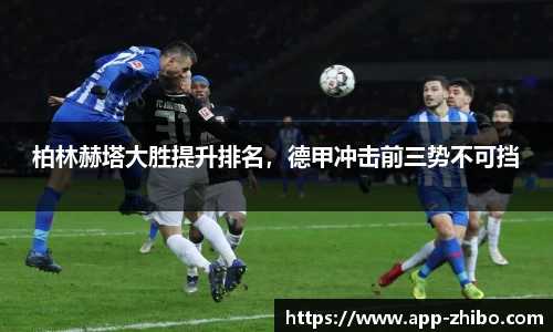 智博体育