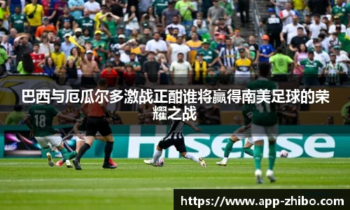 智博体育