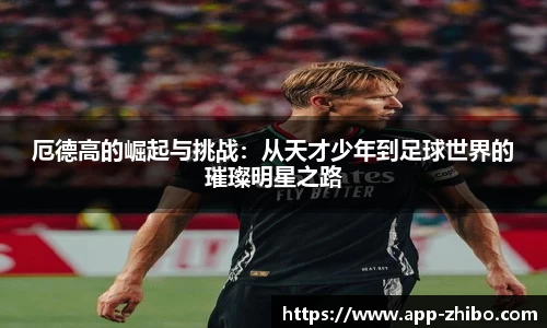 智博体育