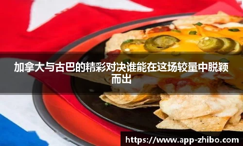 智博体育