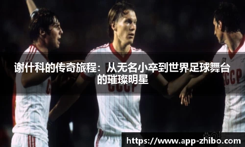 智博体育官网