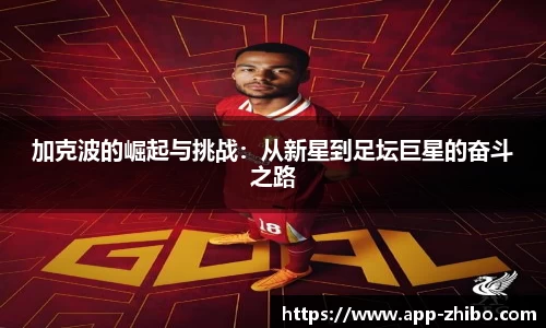 智博体育官方网站