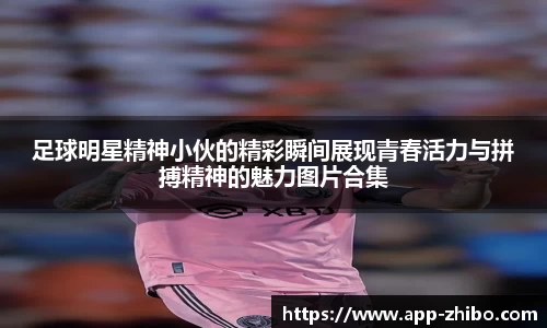 智博体育官网
