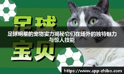智博体育平台
