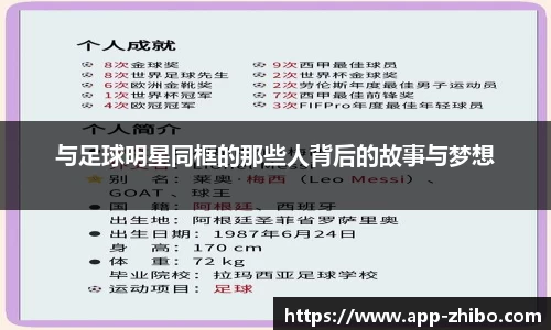 智博体育平台
